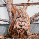 Steinachbauer in Bramberg am Wildkogel, Steinach